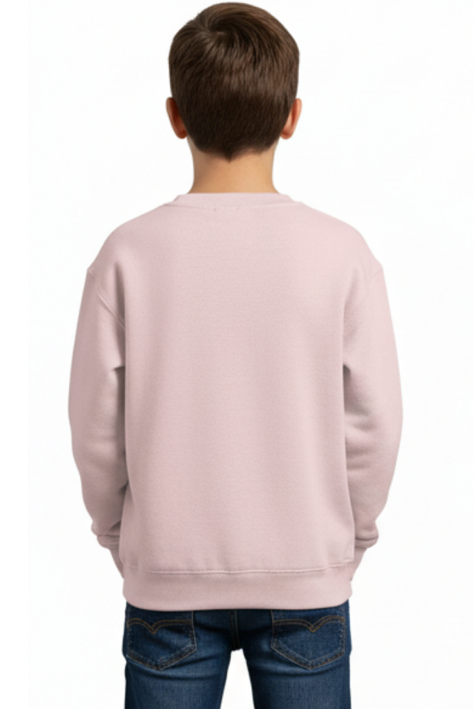 Light Pink back