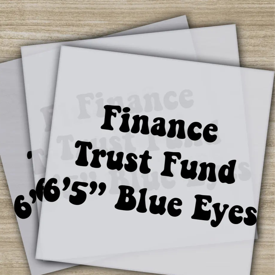 I’m Looking For A Man Finance Blue Eyes Trust Fund Ready to Press,Personalized DTF Transfer High Quality Heat Press