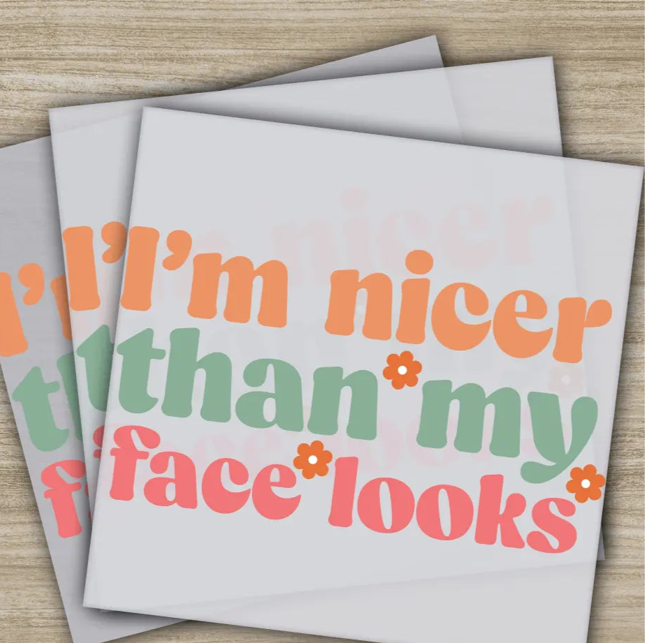 I’m Nice Than My Face Looks Sarcastic Transfers Ready to Press Personalized DTF Transfers Sarcastic Gifts Heat Press
