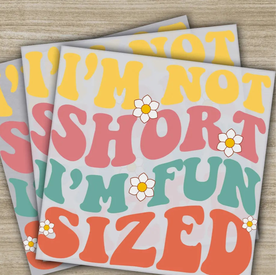 I’m Not Short I’m Fun Sized Sarcastic Transfers Ready to Press Personalized DTF Transfers Sarcastic Gifts Heat