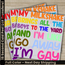 Load image into Gallery viewer, Pride Day Gay Pride LGBTQ Rainbow Trans Rights Top,Ready to Press Personalized DTF Transfer High Quality Heat Press DTF
