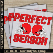 Load image into Gallery viewer, a pair of football helmets with the words perfect season on them
